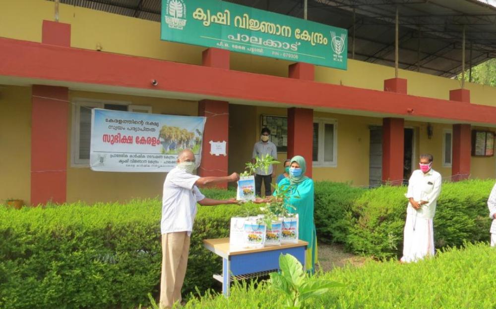 Inauguration of Subhiksha Keralam programme at  Pattambi - 2