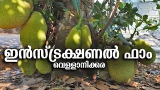 Embedded thumbnail for Instructional Farm Vellanikkara | ഇൻസ്ട്രക്ഷണൽ ഫാം വെള്ളാനിക്കര 