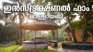 Embedded thumbnail for Instructional Farm Vellayani | ഇൻസ്ട്രക്ഷണൽ ഫാം വെള്ളായണി