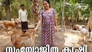 Embedded thumbnail for സംയോജിത കൃഷി | Integrated Farming System | Kerala Agricultural University | KAU