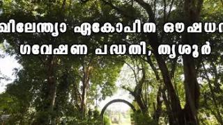 Embedded thumbnail for AICRP on Medicinal, Aromatic Plants &amp;amp; Betelvine, Thrissur | അഖിലേന്ത്യാ ഏകോപിത ഔഷധസസ്യ ഗവേഷണ പദ്ധതി