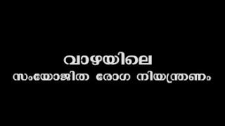 Embedded thumbnail for വാഴയിലെ സംയോജിത രോഗനിയന്ത്രണം