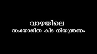 Embedded thumbnail for വാഴയിലെ സംയോജിത കീടനിയന്ത്രണം