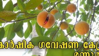 Embedded thumbnail for Agricultural Research Station Mannuthy | കാർഷിക ഗവേഷണ കേന്ദ്രം മണ്ണുത്തി 